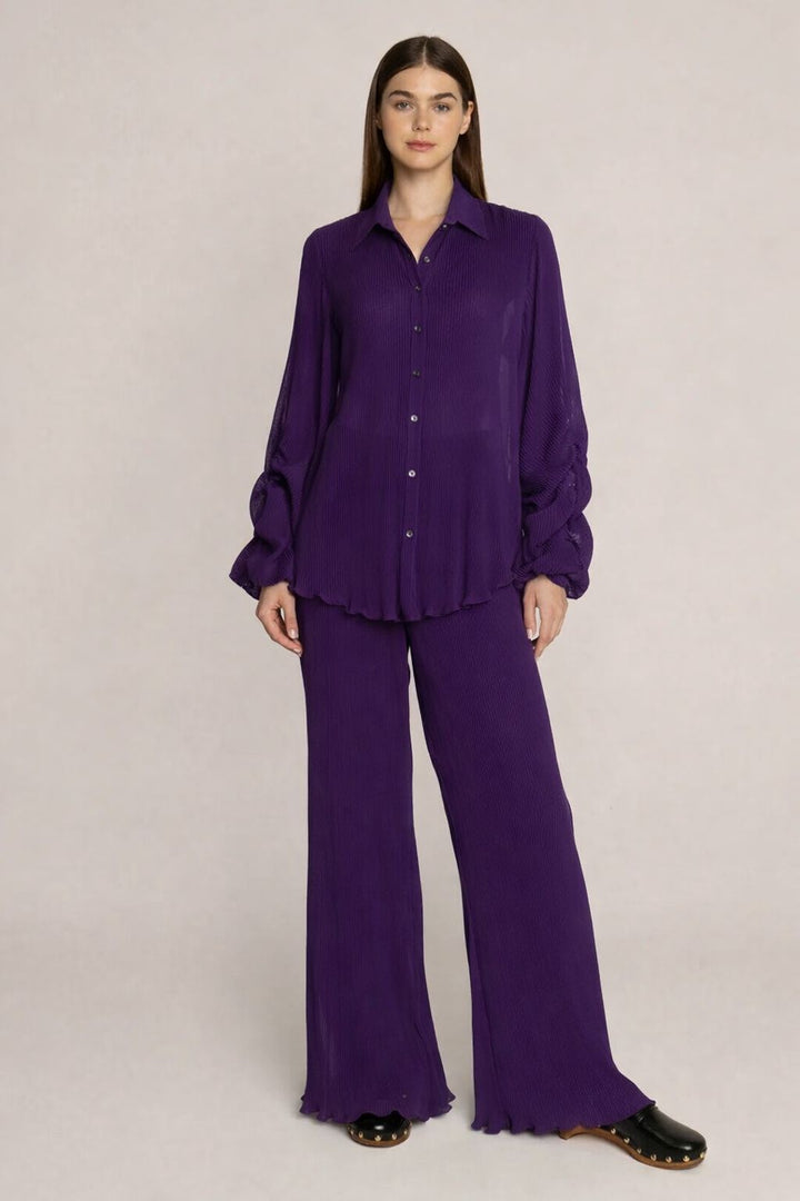 Ausha Pant Set.