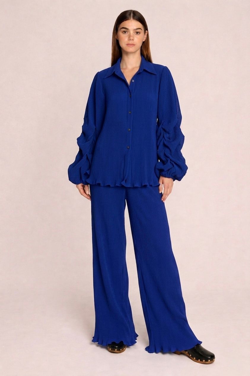 Ausha Pant Set.