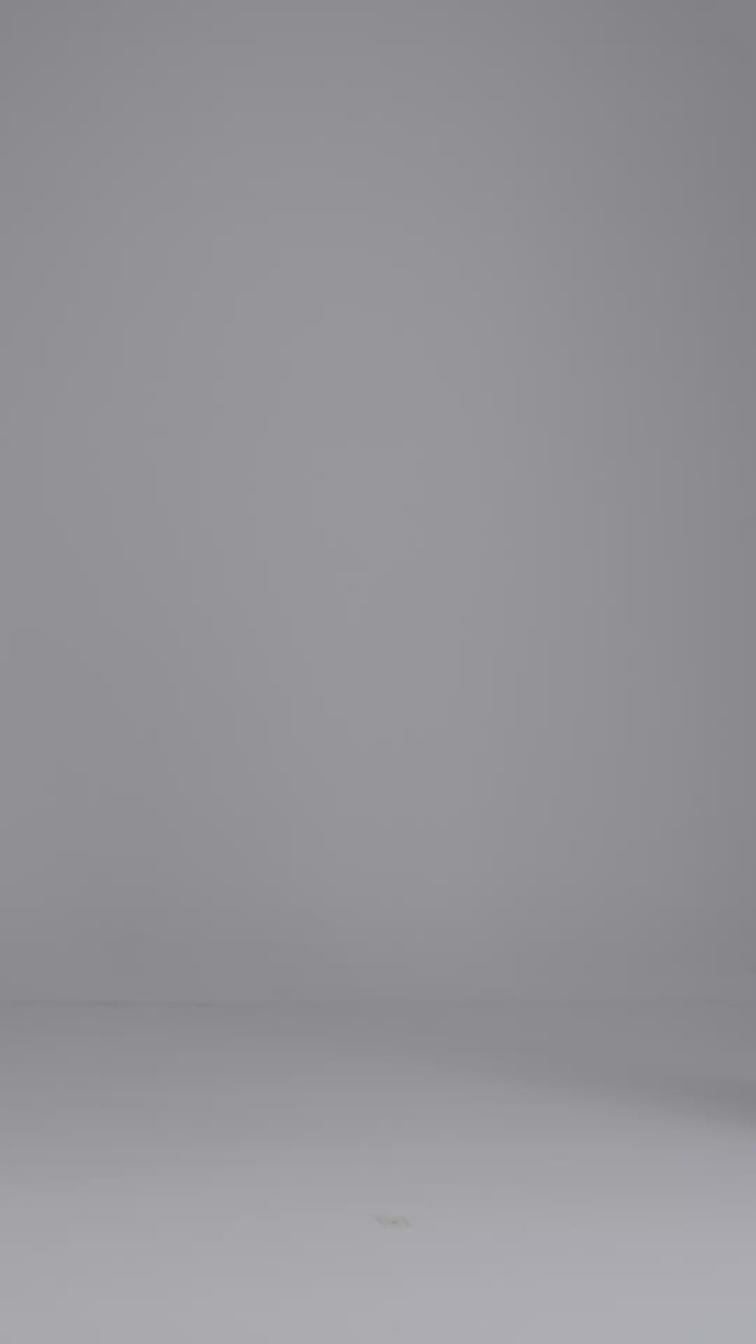 Jouri Dress – Metallic Long Sleeve Evening Derss