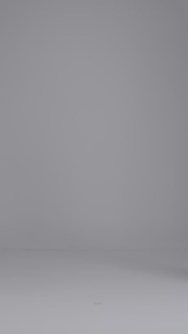 Jouri Dress – Metallic Long Sleeve Evening Derss