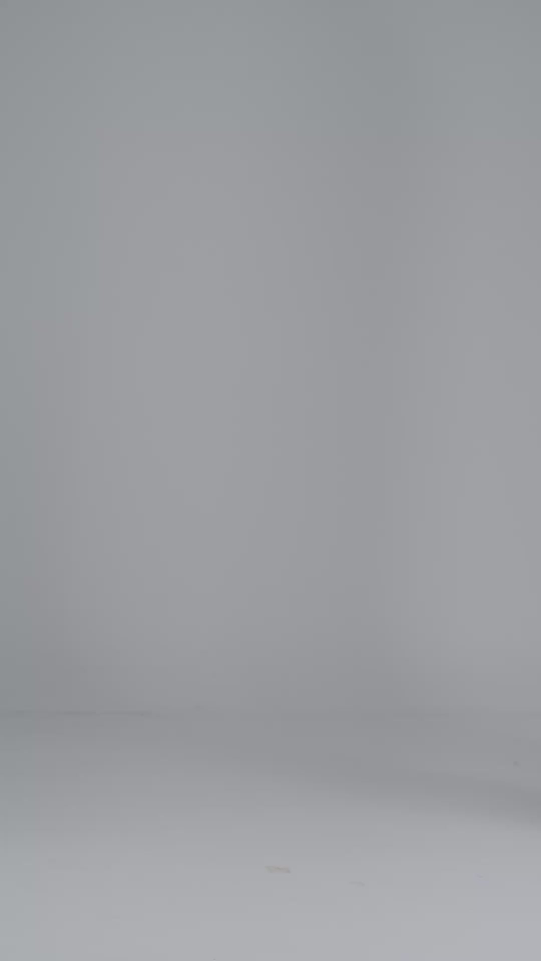 Ruba Dress – Jacquard Midi Cocktail Wedding Guest Dress